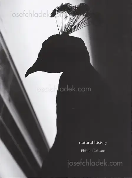 Cover of Philip J Brittan - Natural History