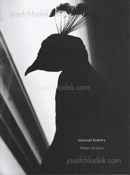 Cover of Philip J Brittan - Natural History