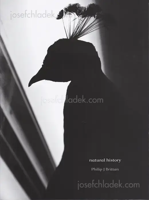 Cover of Philip J Brittan - Natural History