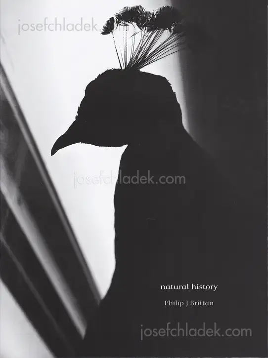 Cover of Philip J Brittan - Natural History
