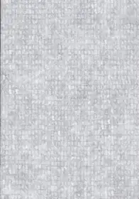 Verónica Fieiras - the disappeared