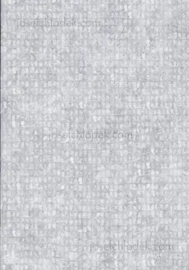 Cover of Verónica Fieiras - the disappeared
