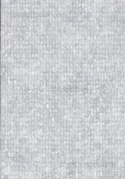 Cover of Verónica Fieiras - the disappeared