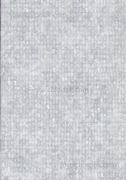 Cover of Verónica Fieiras - the disappeared
