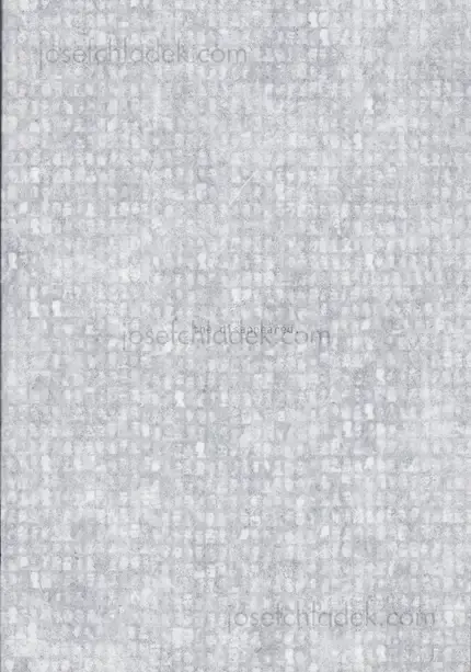 Cover of Verónica Fieiras - the disappeared