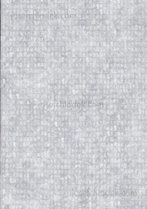 Cover of Verónica Fieiras - the disappeared
