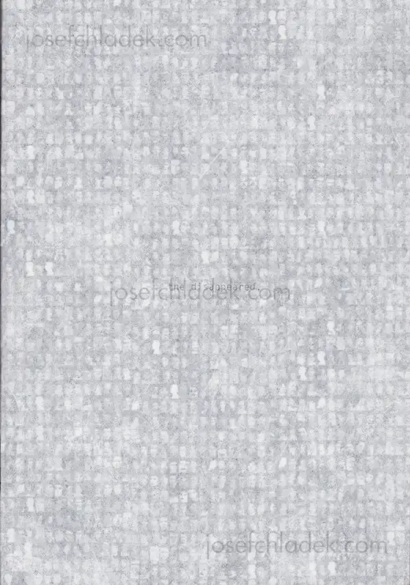 Cover of Verónica Fieiras - the disappeared