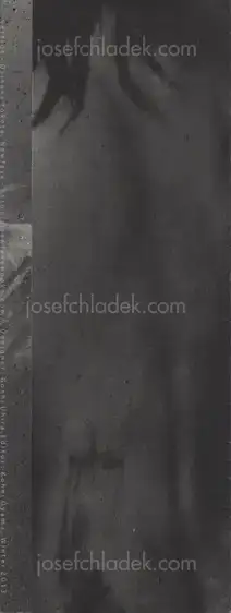 Cover of Daisuke Yokota - Vertigo (leaflet)