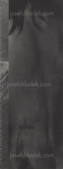Cover of Daisuke Yokota - Vertigo (leaflet)