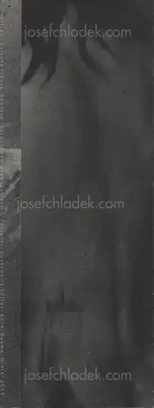 Cover of Daisuke Yokota - Vertigo (leaflet)