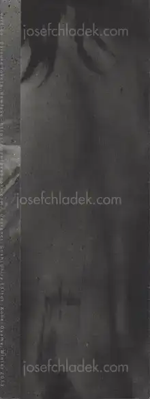 Cover of Daisuke Yokota - Vertigo (leaflet)