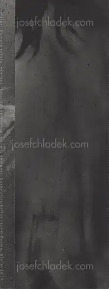Cover of Daisuke Yokota - Vertigo (leaflet)