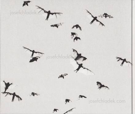  Trent Parke - Minutes to Midnight (Back)