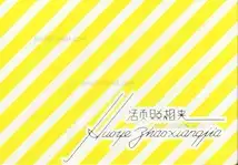 Cover of Thomas Sauvin - Silvermine