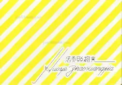 Cover of Thomas Sauvin - Silvermine