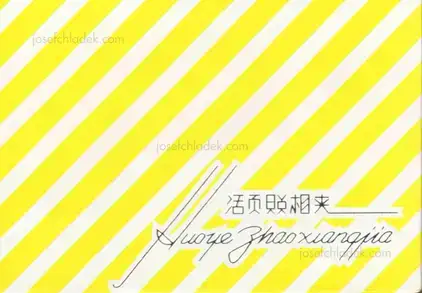 Cover of Thomas Sauvin - Silvermine