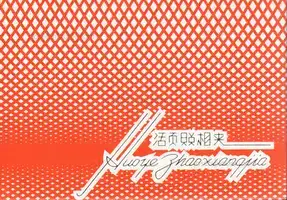 Thomas Sauvin - Silvermine - Book photo 6