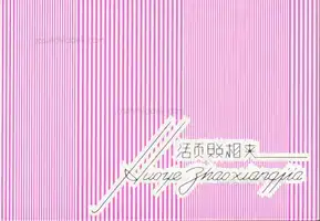 Thomas Sauvin - Silvermine - Book photo 9