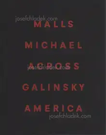 Michael Galinsky - Malls Across America