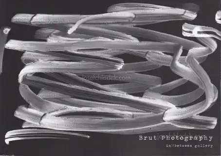 Cover of Luigi Clavareau - Brut Photography (in)(between record vol. 6)