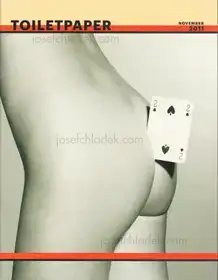 Maurizio Cattelan - Toilet Paper #4