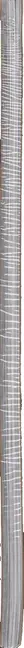 Book spine: Alec Soth - Foam Party Poster
