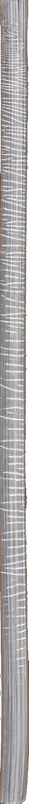 Book spine: Alec Soth - Foam Party Poster