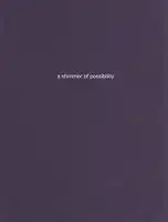 a shimmer of possibility #3
