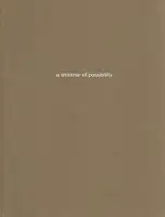 a shimmer of possibility #8