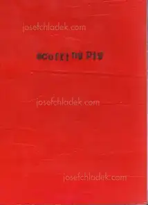 Cover of Nozomi Iijima - Scoffing Pig - Book