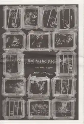 Cover of Nozomi Iijima - Scoffing Pig - Newsprint