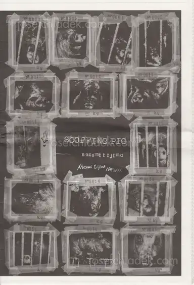Nozomi Iijima - Scoffing Pig - Newsprint Nozomi Iijima - Scoffing Pig - Newsprint