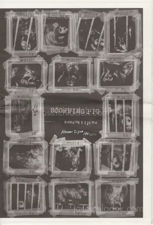 Cover of Nozomi Iijima - Scoffing Pig - Newsprint