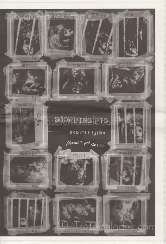 Cover of Nozomi Iijima - Scoffing Pig - Newsprint
