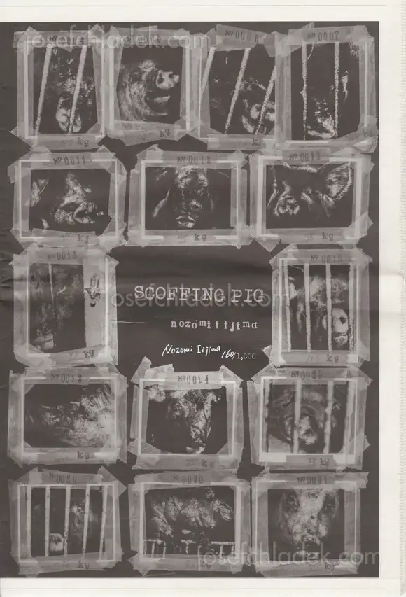 Cover of Nozomi Iijima - Scoffing Pig - Newsprint