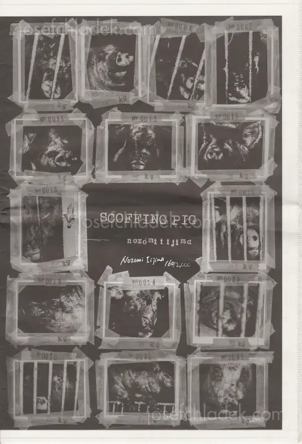 Cover of Nozomi Iijima - Scoffing Pig - Newsprint