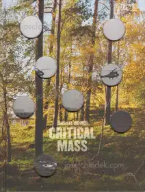 Michael Danner - Critical Mass