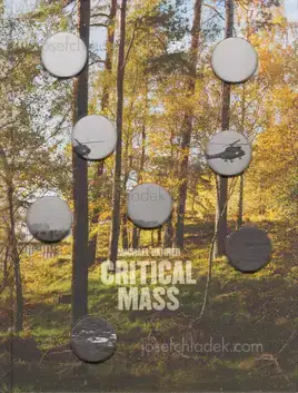 Cover of Michael Danner - Critical Mass