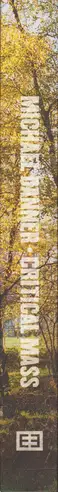 Book spine: Michael Danner - Critical Mass