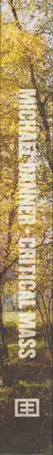 Book spine: Michael Danner - Critical Mass