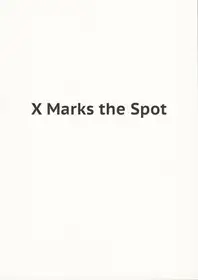 Joachim Schmid - X Marks the Spot
