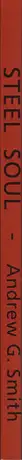 Book spine: Andrew G. Smith - Steel Soul