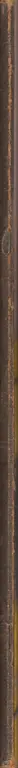 Book spine: Ginger Gordon - The Virgin Sperm Dancer