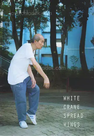 Cover of Gráinne Quinlan - White Crane Spread Wings