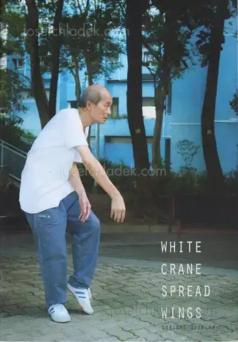 Cover of Gráinne Quinlan - White Crane Spread Wings