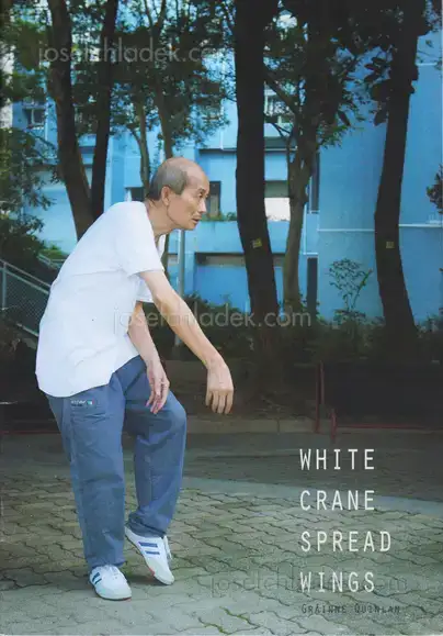 Cover of Gráinne Quinlan - White Crane Spread Wings