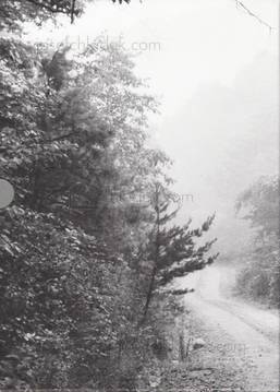  William and Cage Gedney - Iris Garden (Slipcase front)