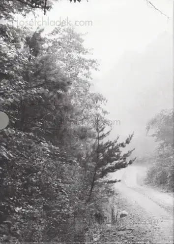 Cover of John Cage & William Gedney - Iris Garden