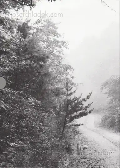 John Cage & William Gedney - Iris Garden John Cage & William Gedney - Iris Garden