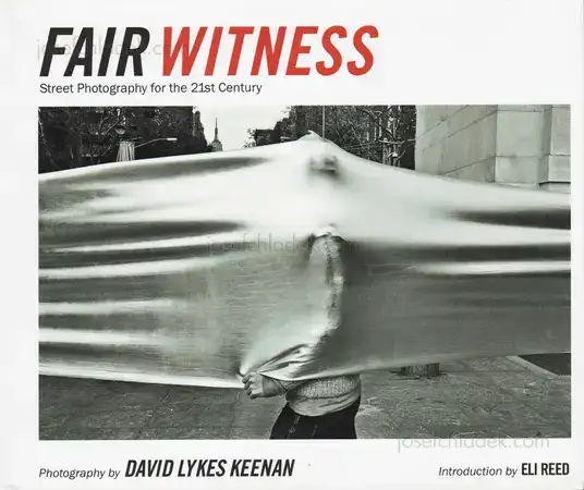 Cover of David Lykes Keenan - Fair Witness